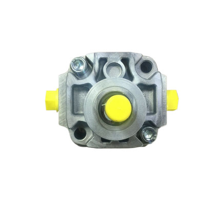 Rexroth 기어 펌프 피스톤 PGF1-2X41RA01VP1 최대 5000 L/Min, 색상 고객 요청