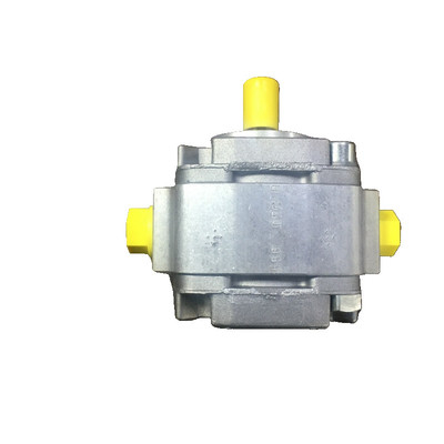 GF1-21 4 1RA01VP1 Pompa idraulica meccanica Mobile industriale