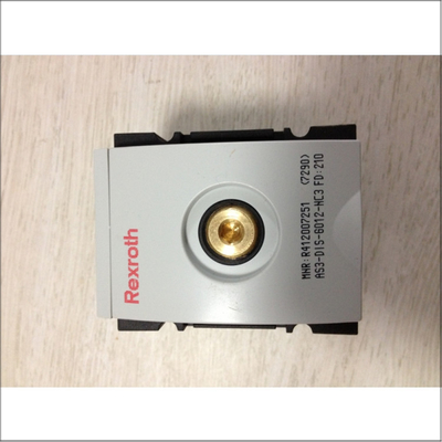 Pneumatic Components For Aventics R412007251 AS3-DLS-6012-NC3 Cast Iron Material Fast Shipping TT Payment